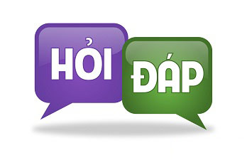 Hỏi đáp